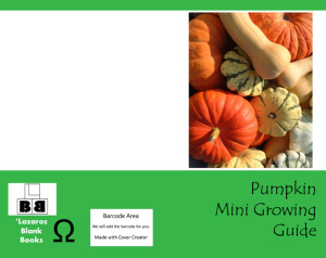 Pumpkin mini growing guide - Full cover