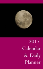 2017 Calendar & Daily Planner - Book cover