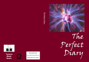 The perfect diary - book cover