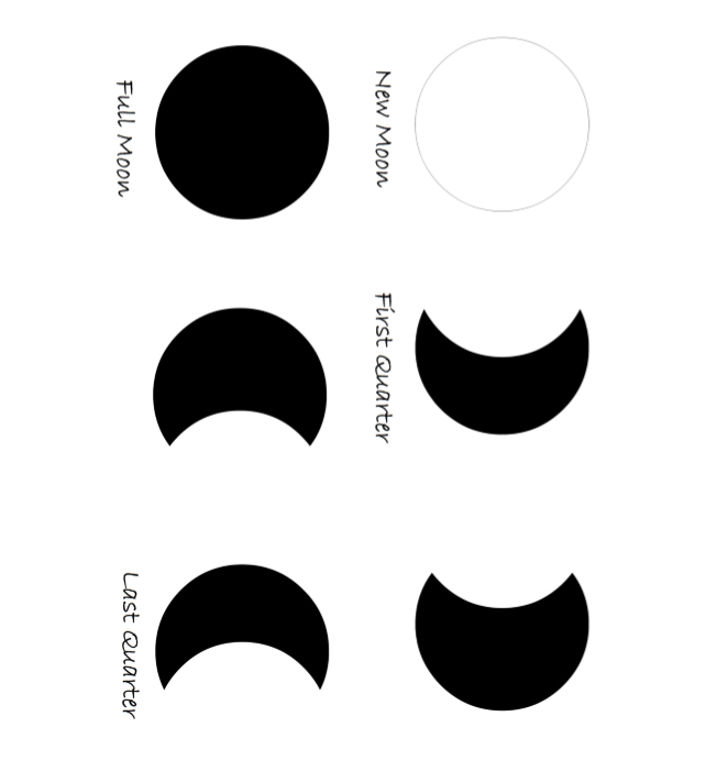 The Tint Diary - Book interior - web 3