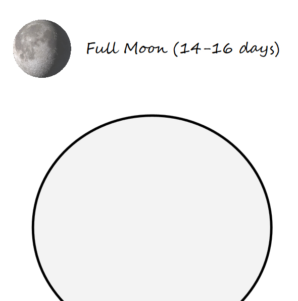 Moon coloring book for wise kids - Book interior - web5