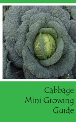 Cabbage Mini Growing Guide - Front cover