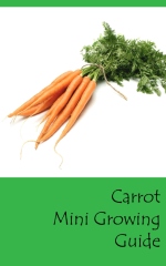 Carrot mini growing guide - Front cover