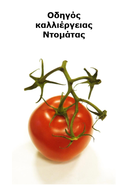 Grow vegetables in your garden - Greek version - Book interior 3