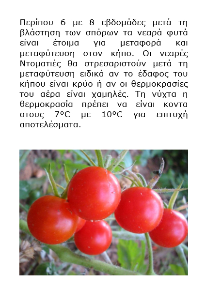 Grow vegetables in your garden - Greek version - Book interior 4