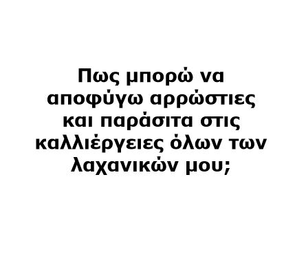 Grow vegetables in your garden - Greek version - Book interior 5