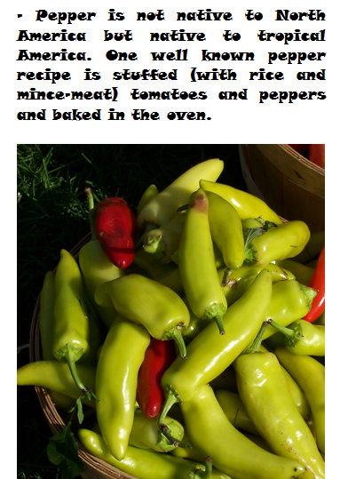 Pepper mini growing guide - Book interior 3