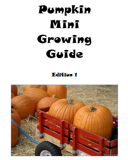 Pumpkin mini growing guide - Book interior 3