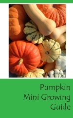Pumpkin mini growing guide - Front cover