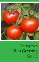 Tomatoes mini growing guide - front cover