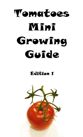 Tomatoes mini growing guide - book interior 3