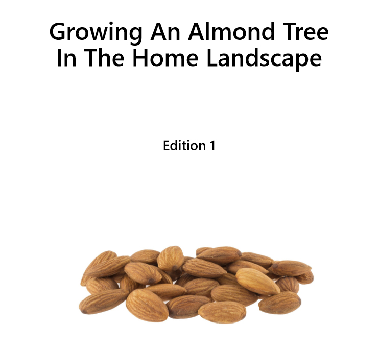 Growing an almond tree - Edition 1 - Book interior - 1