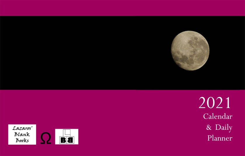 2021 Calendar & Daily Planner - Full Cover